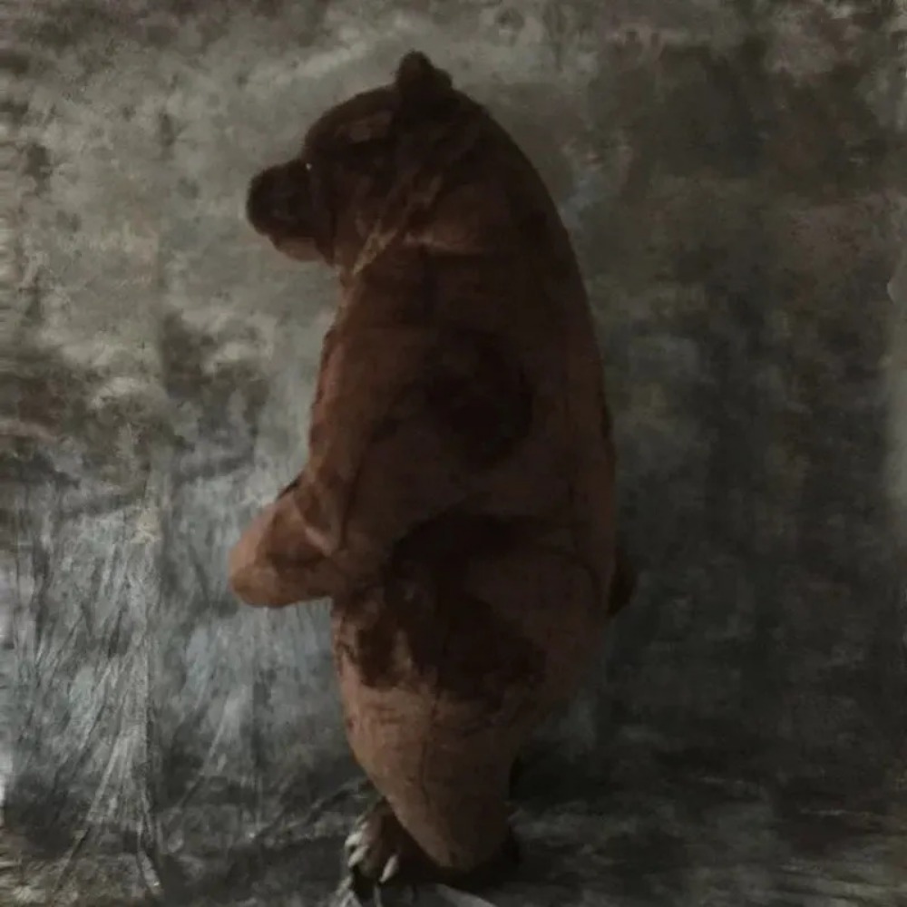 Opblaasbaar bruin beer mascott - Halloween Costume Adult recensie en prijs