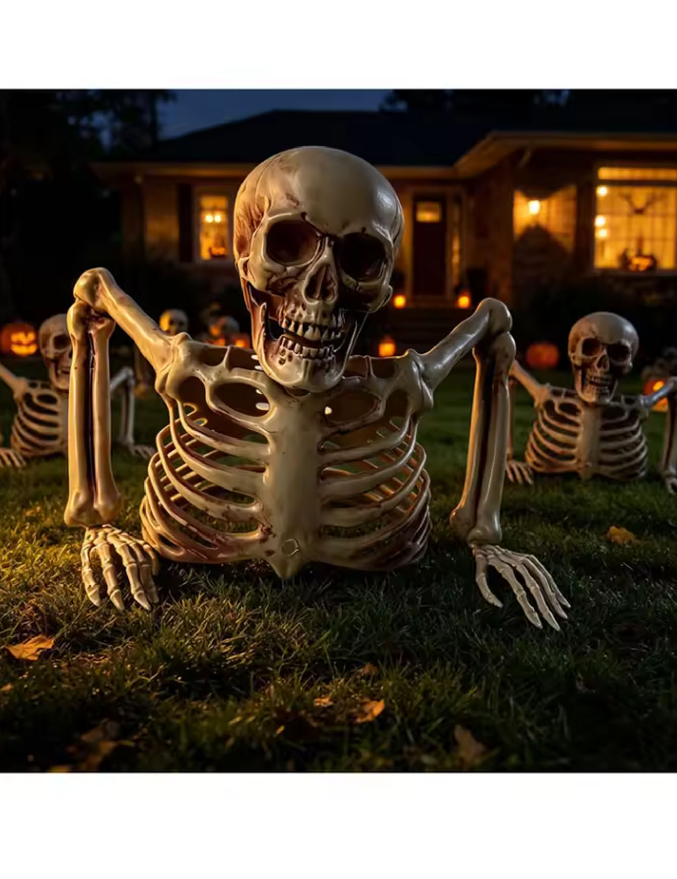 Halloween Half Skelet Feest, A - Spider Web Halloween Decoration recensie en prijs