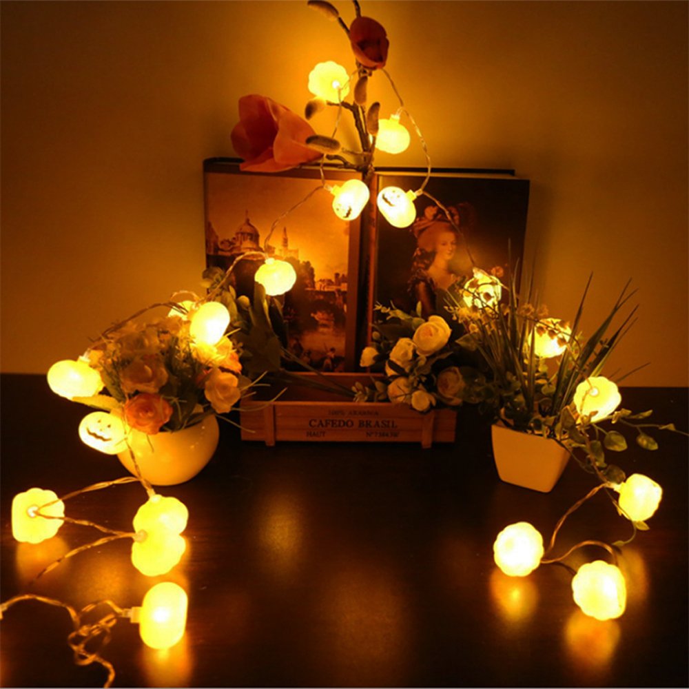 Halloween 3D Pompoen LED Licht - Halloween Led String Lights Orange recensie en prijs